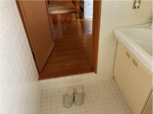 Japanese hygiene room, slippers by the door next to a sink