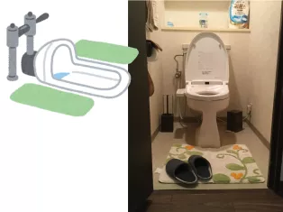 Illustration of squatting toilet in the floor besides an ordinary toilet
