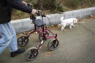 Person med rollator på promenad med liten vit hund.